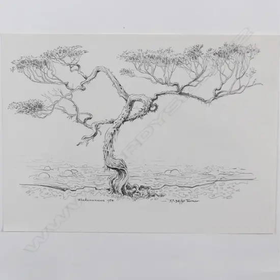 Dennis Knight Turner (1924-2011) 'Whakarewarewa 1954' New Zealand landscape sketch 57