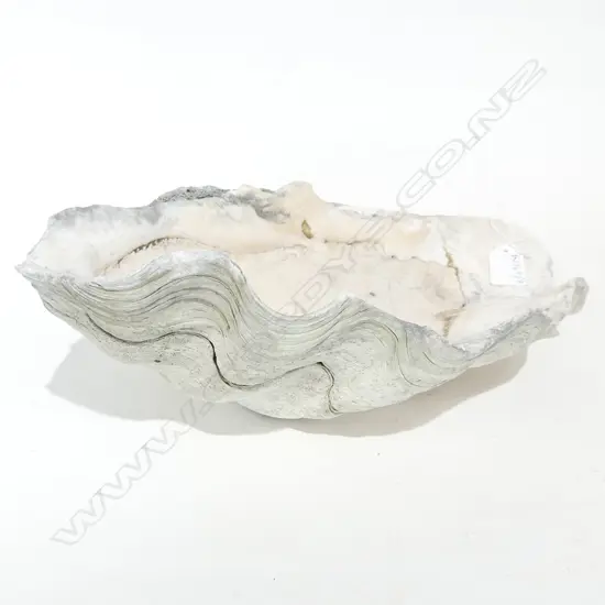 LGE CLAM SHELL W.390mm