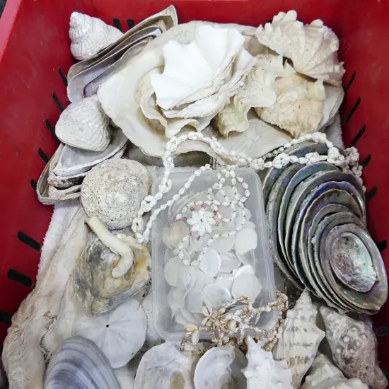 BOX LOT ASST. SHELLS 