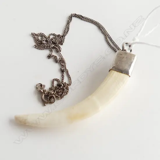 SILVER MOUNTED IVORY TOOTH PENDANT ON CHAIN, PENDANT L 55MM