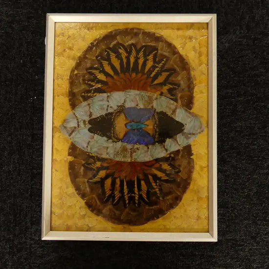 VINTAGE PICTURE MADE WITH BUTTERFLY WINGS  420 X 330MM (INCL FRAME)
