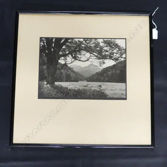 MRS PANCKHURST VINTAGE B & W PHOTO STH ISLAND RIVER & MOUNTAIN 200 X 290mm