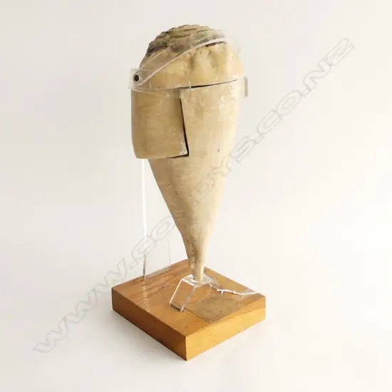 LG MODEL PULL APART TURNIP / RADISH, ON STAND, GERMAN 1940'S  H. 400MM