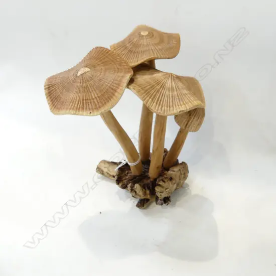 DACTYLANTHUS (WOOD ROSE) w. 4 CARVED WOODEN MUSHROOMS H.190mm