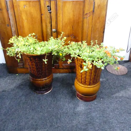 2 FLOWERING WINGPOD PURSLANE PLANTS (PORTULACA (1 RED FLOWERS, 1 YELLOW) IN TALL CERAMIC POTS APPROX H. 450MM