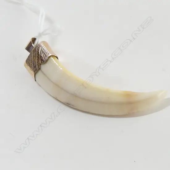 9CT GOLD SET TUSK PENDANT 