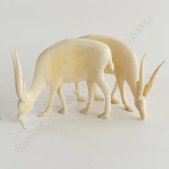 PR AFRICAN IVORY ANTELOPE H60MM
