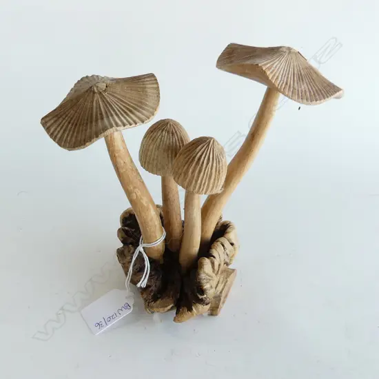 DACTYLANTHUS (WOOD ROSE) w. 4 CARVED WOODEN MUSHROOMS H.175mm