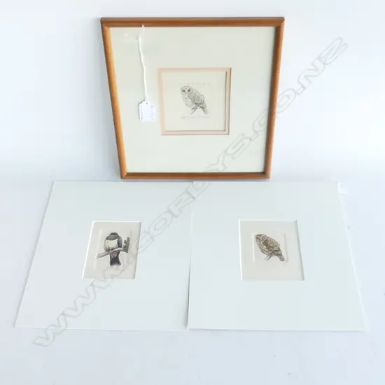 3 RUSSELL JACKSON BIRD PRINTS ED. 150; 2 UNFRAMED; WOOD PIGEON & MOREPORK 100x95mm