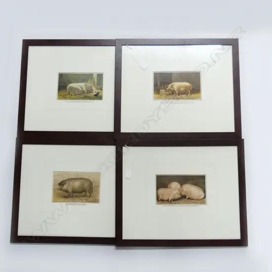 SET OF 4 FRENCH PIG CHROMOLITHOGRAPHS 460x560mm overall