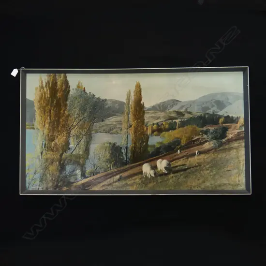 LGE WHITES AVIATION PRINT 'LAKE HAYES' 535x1000mm MINOR MARKS