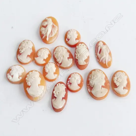 BOX 14 VINTAGE SHELL CAMEOS - ASST SIZE