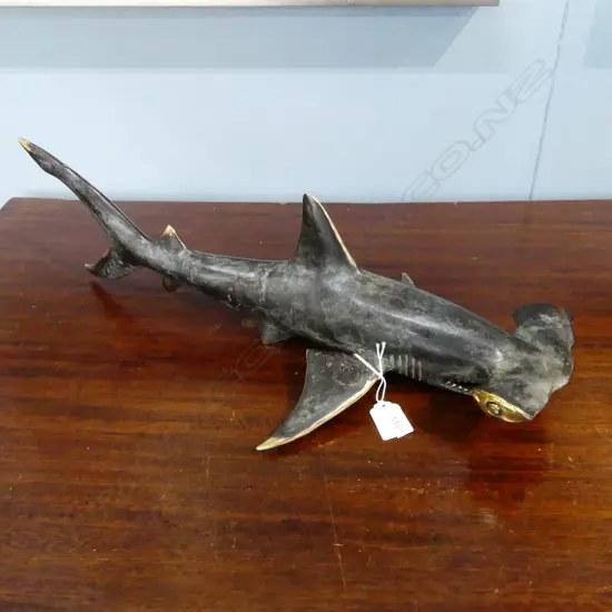 BRONZE HAMMER HEAD SHARK L.480mm
