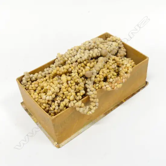 BOX SOLOMON ISLAND DOWRY SHELL BEADS, C.1920'S