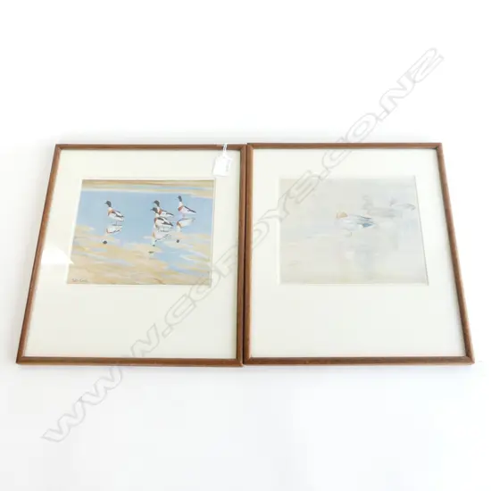 2 PETER SCOTT (C1936) BIRD PRINTS 200 X 165MM