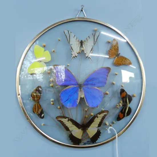 GLASS BUTTERFLY WALL PLAQUE DIA290MM