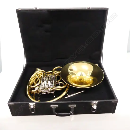 FRENCH HORN IN CASE - STAGG 77-FHD