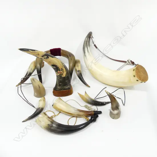 BOX ASST ANIMAL HORNS