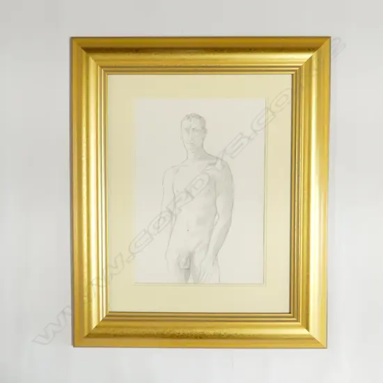 MALCOLM HARRISON, MALE NUDE, PENCIL ON PAPER 400x200mm
