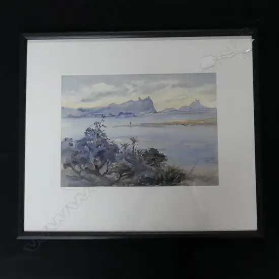 WATER COULOR WHANGAREI AREA SIGNED BIRCHNELL DELPH L550MM H490MM
