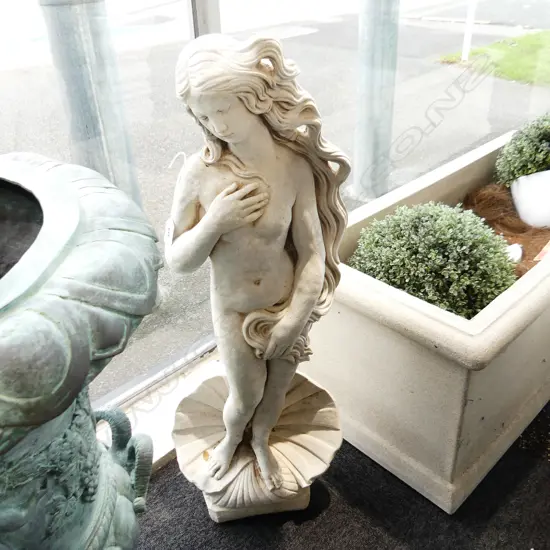 CONCRETE VENUS ON SHELL H.850mm