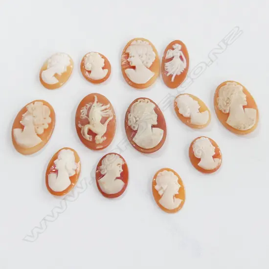 BOX VINTAGE CARVED SHELL CAMEOS 