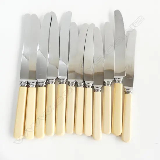 SET OF 12 IVORINE 'BONE' HANDLED KNIVES; 6x230mm 6x205mm