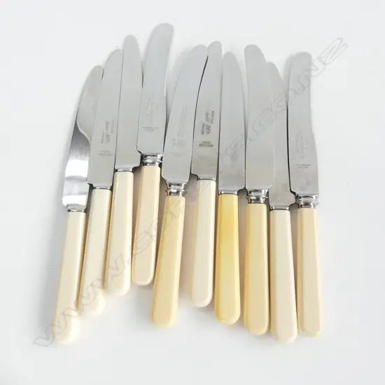 10 ASST. IVORINE 'BONE' HANDLED KNIVES