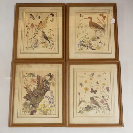 SET 4 COLOUR ORTHANILOGICAL & BOTANICAL PRINTS BY MARJORIE BLAMEY after Tom Wedgwood(1771-1805) 430x360mm