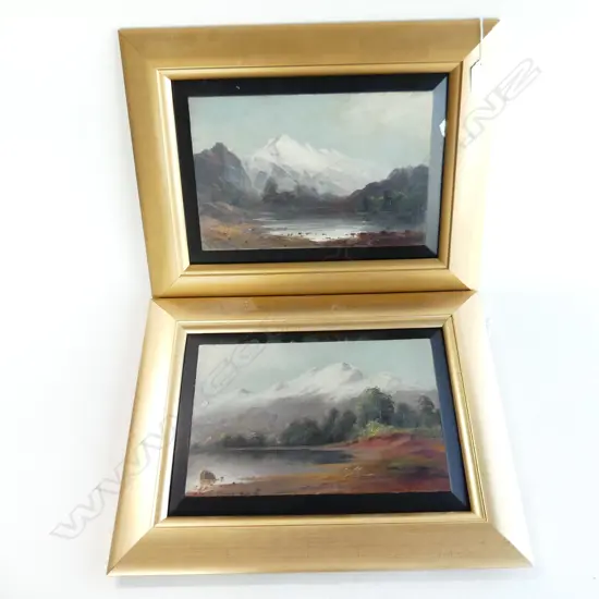 T. R. ATTWOOD PR COLONIAL LANDSCAPE OIL ON BOARDS - CLINTON RIVER & LAKE KANIERE 200x300mm FAULTS