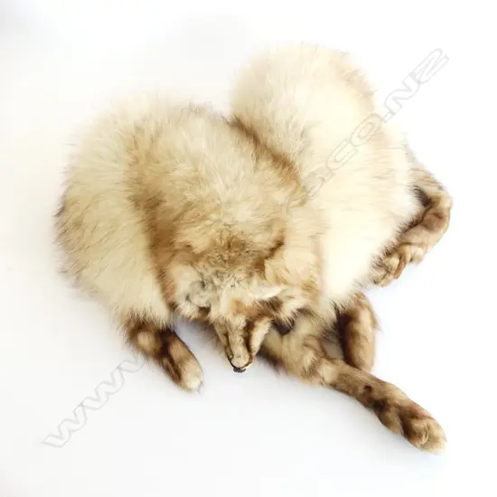 QUALITY FOX FUR STOLE WITH HEAD AND FEET, MFG WELLINGTON