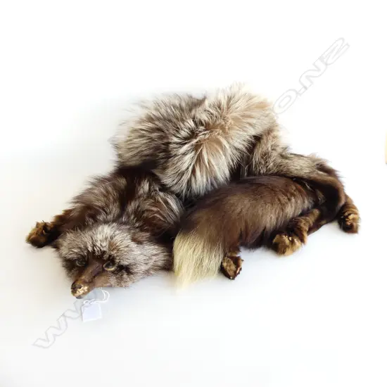 QUALITY FOX FUR STOLE WITH HEAD AND FEET & TAIL