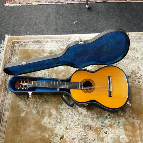 VINTAGE ACOUSTIC GUITAR 'SERENA' in Yamaha hard case