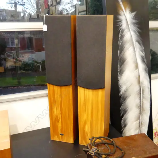 PR 'IMAGE' WOODEN CASED SPEAKERS 180x245x900mm