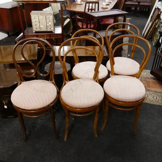 SET 5 (4 + 1) HOOP BACK BENTWOOD CHAIRS cane seats w cushions