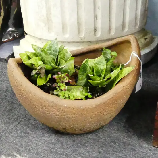 TERRACOTTA PLANTER SMALL BOAT FORM W PLANTS