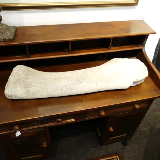 LARGE POSSIBLY ELEPHANT LEG BONE L750MM