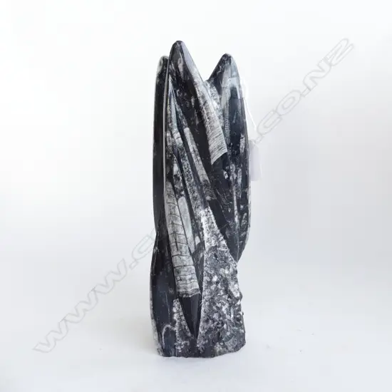 CARVED FOSSILIZED STONE H.235mm