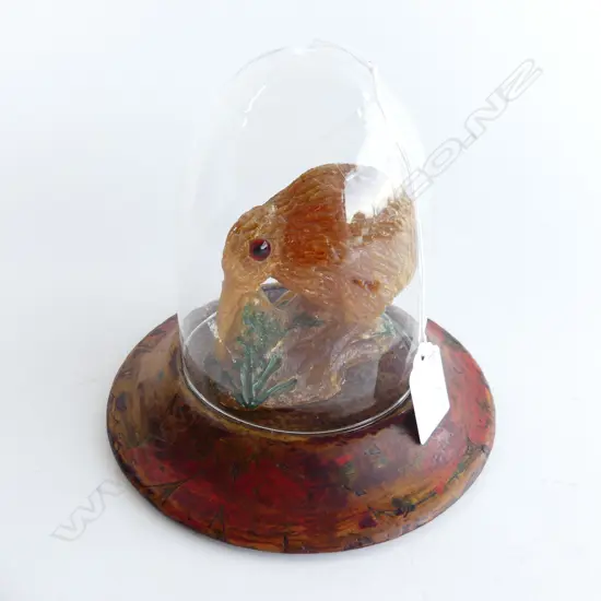 KAURI GUM KIWI IN GLASS DOME ON POKER WORK BASE SIGNED JANE BRENKLEY 165mm dia