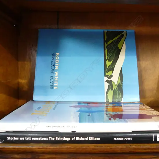 3 NZ ART TITLES - ROBIN WHITE/KILLEEN/TOM MUTCH