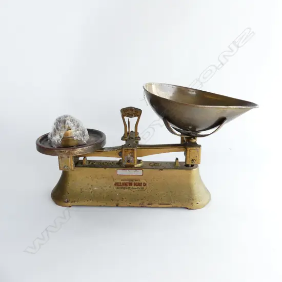 SET WELLINGTON SCALE CO SCALES brass trays & weights 'WEIGH TO 2LB'