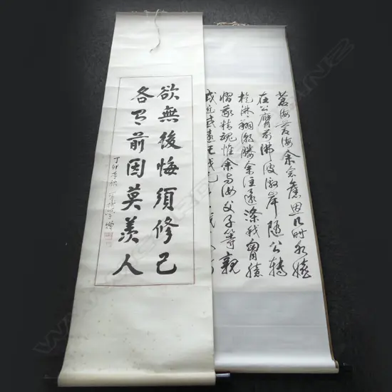 2 CHINESE CALLIGRAPHY SCROLLS; 1020x340mm (image size)