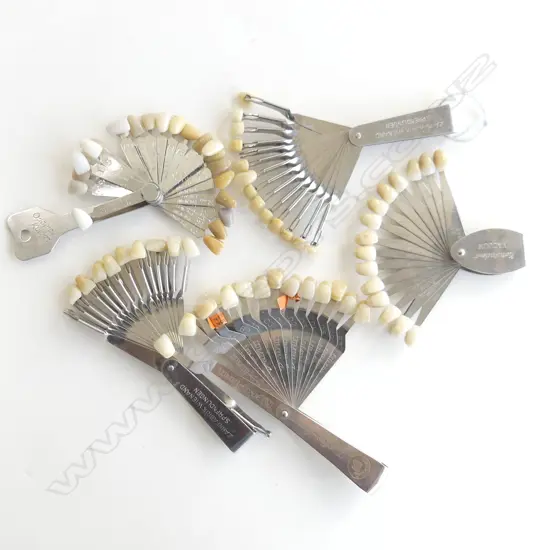 COLLECTION VINTAGE TOOTH REPLACEMENT SAMPLES 