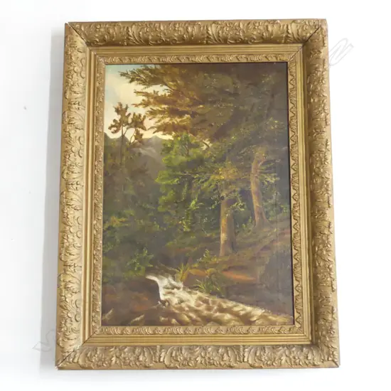 OIL ON CANVAS NEW ZEALAND FOREST SCENE IN ANTIQUE GILT FRAME  550MM X 380MM