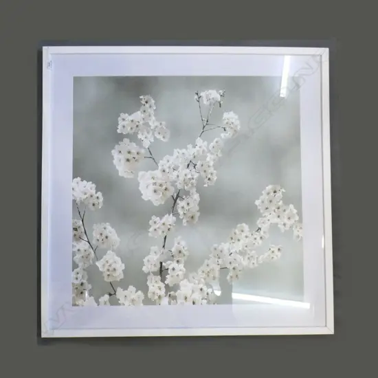 BLOSSOM PRINT 800x800mm