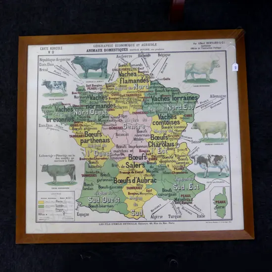 LG OLD FRAMED FRENCH AGRICULTURE MAP 930 X 840MM