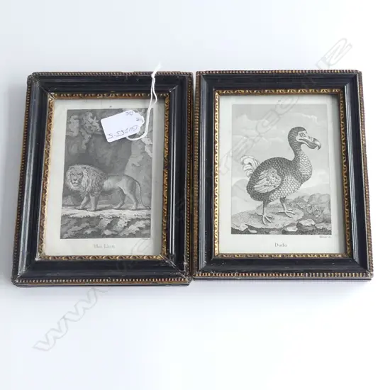 2 SMALL GEORGIAN ENGRAVINGS, "DODO" AND "THE LION" ea. 145 X 95mm frame a/f