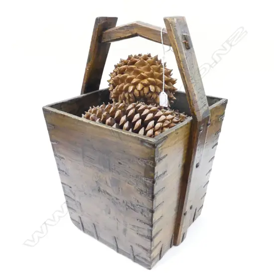 VINTAGE WOODEN BUCKET w. GIANT COULTER PINE CONES