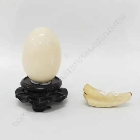 IVORY EGG ON WOODEN STAND, WHALES TOOTH & BAG 12 IVORY STICKS 