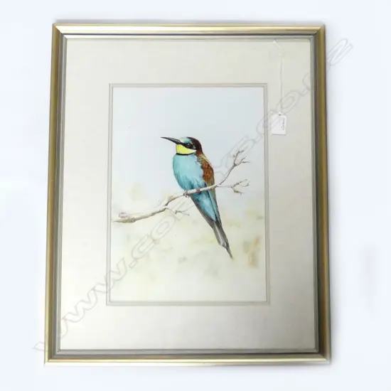 JILL ADAMS WATERCOLOUR SIGNED 340 X 240 MM